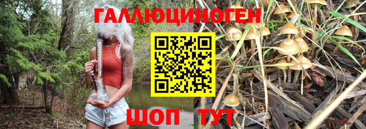 Галлюциногенные грибы Magic Shrooms Королёв